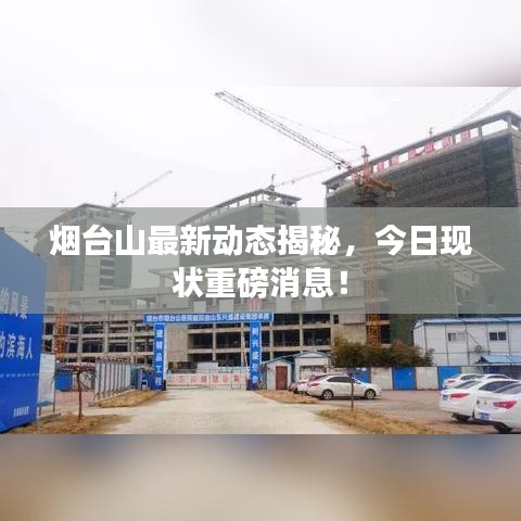 烟台山最新动态揭秘，今日现状重磅消息！