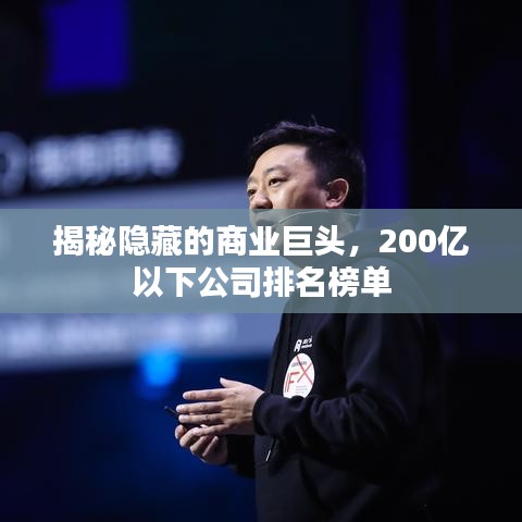 揭秘隐藏的商业巨头，200亿以下公司排名榜单