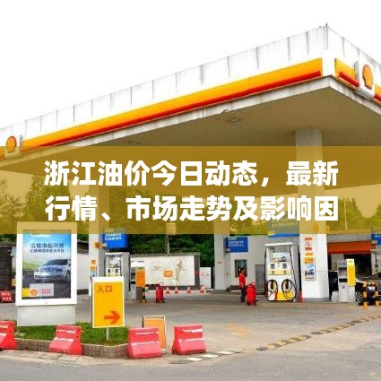 浙江油价今日动态，最新行情、市场走势及影响因素深度解析