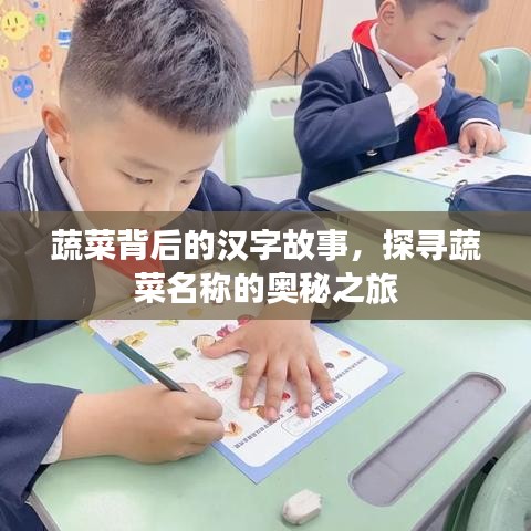 蔬菜背后的汉字故事，探寻蔬菜名称的奥秘之旅