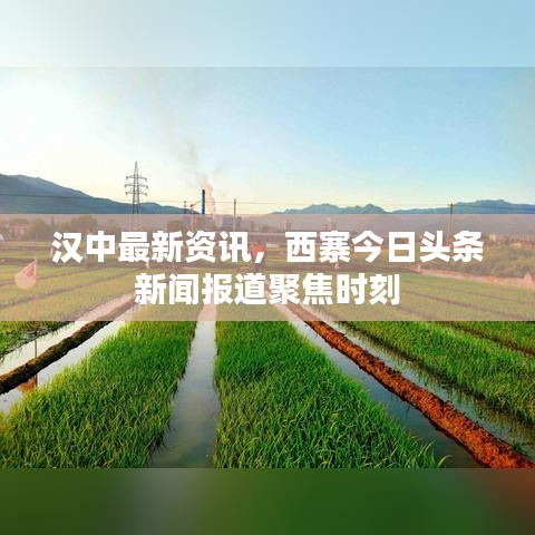 汉中最新资讯，西寨今日头条新闻报道聚焦时刻
