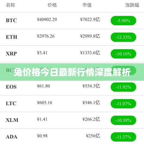 兔价格今日最新行情深度解析