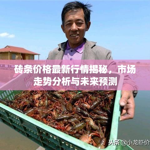 砖条价格最新行情揭秘，市场走势分析与未来预测