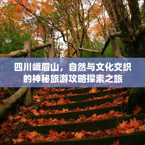 四川峨眉山，自然与文化交织的神秘旅游攻略探索之旅