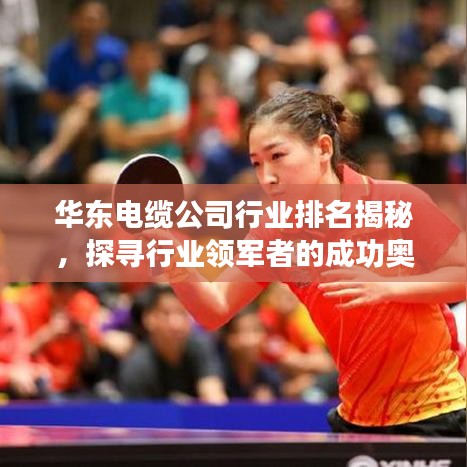 华东电缆公司行业排名揭秘，探寻行业领军者的成功奥秘