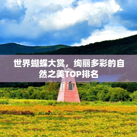世界蝴蝶大赏，绚丽多彩的自然之美TOP排名