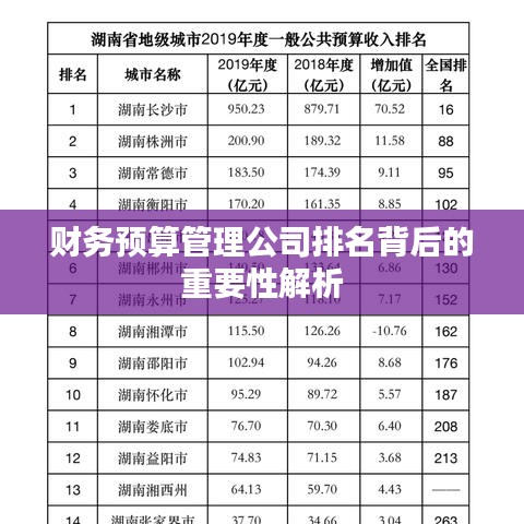 财务预算管理公司排名背后的重要性解析