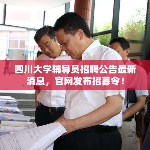 四川大学辅导员招聘公告最新消息，官网发布招募令！
