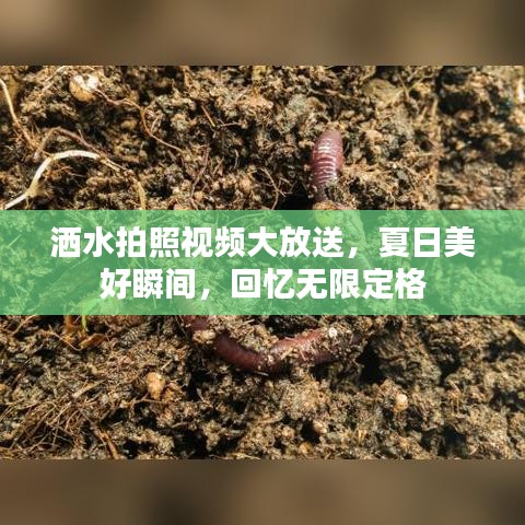 2025年5月19日 第16页