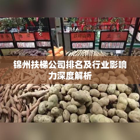 锦州扶梯公司排名及行业影响力深度解析