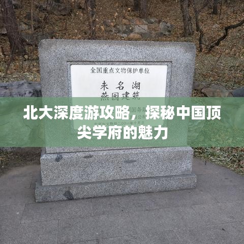 北大深度游攻略，探秘中国顶尖学府的魅力