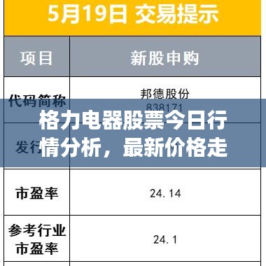 格力电器股票今日行情分析，最新价格走势及未来展望
