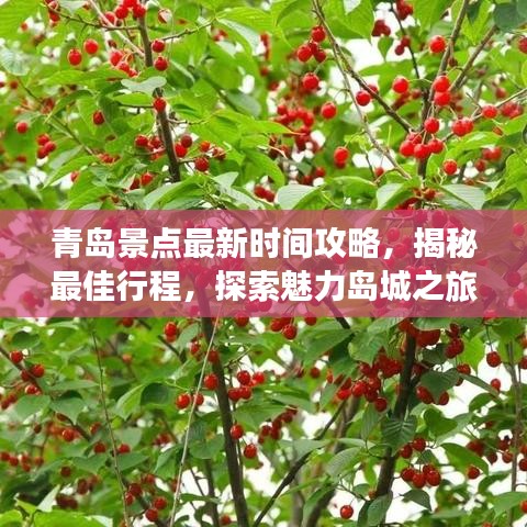 青岛景点最新时间攻略，揭秘最佳行程，探索魅力岛城之旅