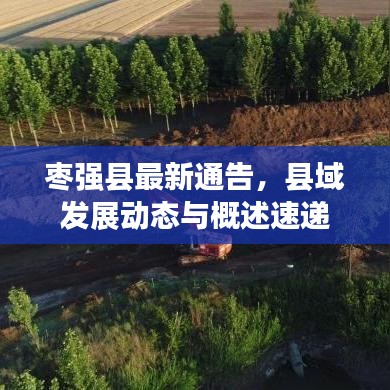 枣强县最新通告，县域发展动态与概述速递