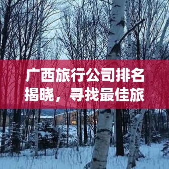 广西旅行公司排名揭晓，寻找最佳旅行伙伴，你不可不知的几家旅行社！