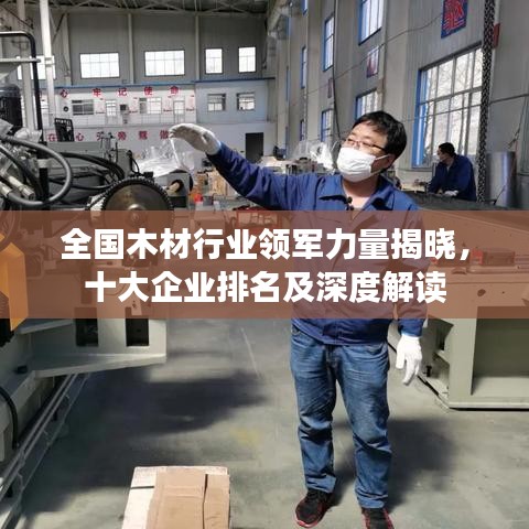 全国木材行业领军力量揭晓，十大企业排名及深度解读