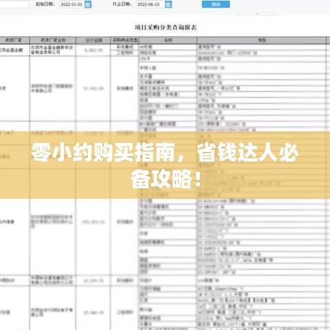 零小约购买指南，省钱达人必备攻略！
