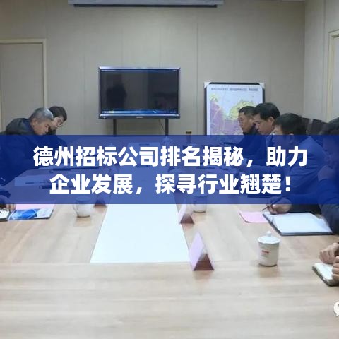 德州招标公司排名揭秘，助力企业发展，探寻行业翘楚！