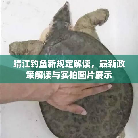 靖江钓鱼新规定解读，最新政策解读与实拍图片展示
