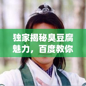 独家揭秘臭豆腐魅力，百度教你轻松制作秘籍！