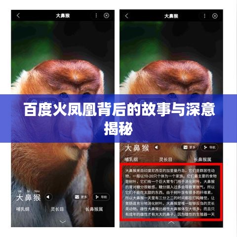 百度火凤凰背后的故事与深意揭秘