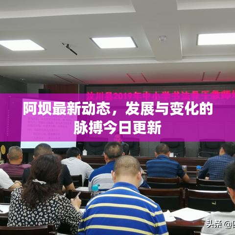 阿坝最新动态，发展与变化的脉搏今日更新