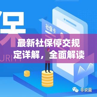 最新社保停交规定详解，全面解读相关政策与影响