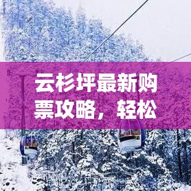 云杉坪最新购票攻略，轻松规划行程，畅游无忧！