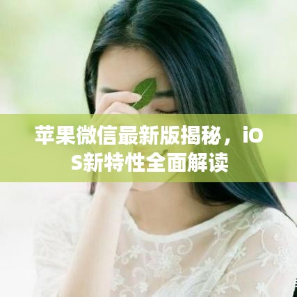 苹果微信最新版揭秘，iOS新特性全面解读