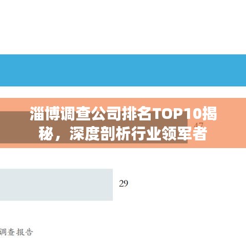 淄博调查公司排名TOP10揭秘，深度剖析行业领军者