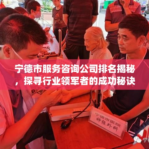 宁德市服务咨询公司排名揭秘，探寻行业领军者的成功秘诀！