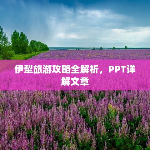 2025年5月20日 第12页