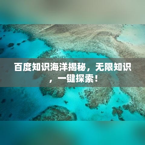 百度知识海洋揭秘，无限知识，一键探索！