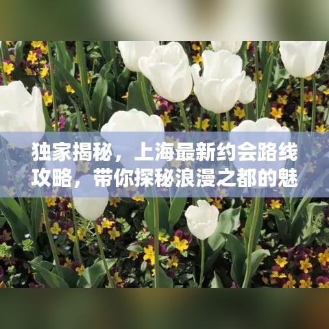 独家揭秘，上海最新约会路线攻略，带你探秘浪漫之都的魅力