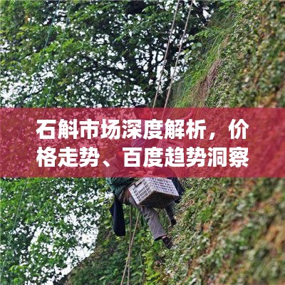石斛市场深度解析，价格走势、百度趋势洞察与未来预测