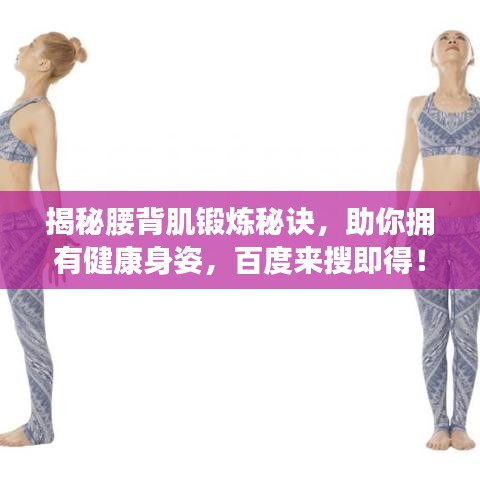 揭秘腰背肌锻炼秘诀，助你拥有健康身姿，百度来搜即得！