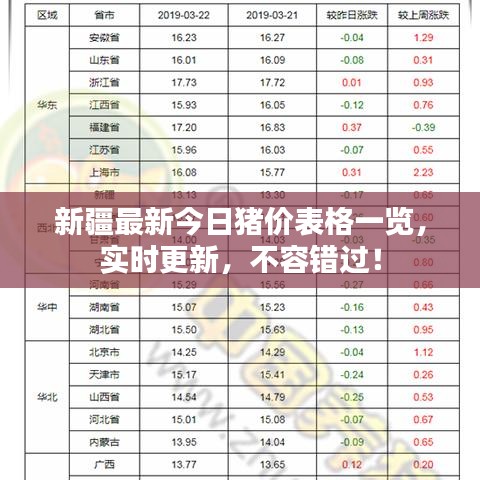 惊弓之鸟 第2页