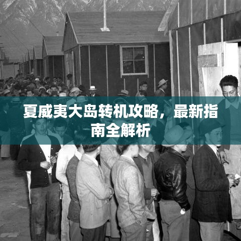 夏威夷大岛转机攻略，最新指南全解析