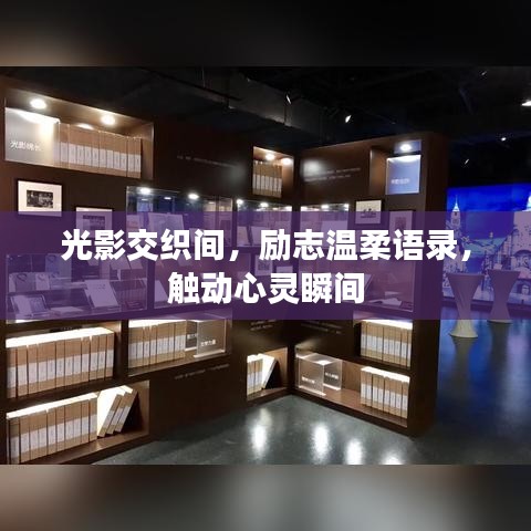 光影交织间，励志温柔语录，触动心灵瞬间