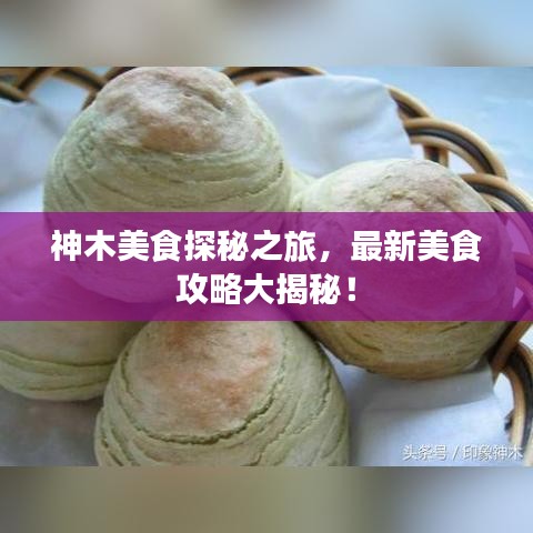 神木美食探秘之旅，最新美食攻略大揭秘！