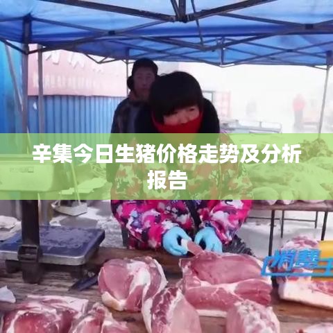 辛集今日生猪价格走势及分析报告