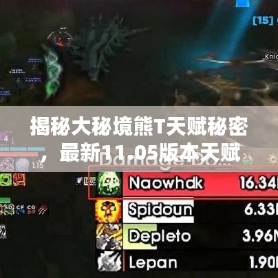 揭秘大秘境熊T天赋秘密，最新11.05版本天赋深度解析
