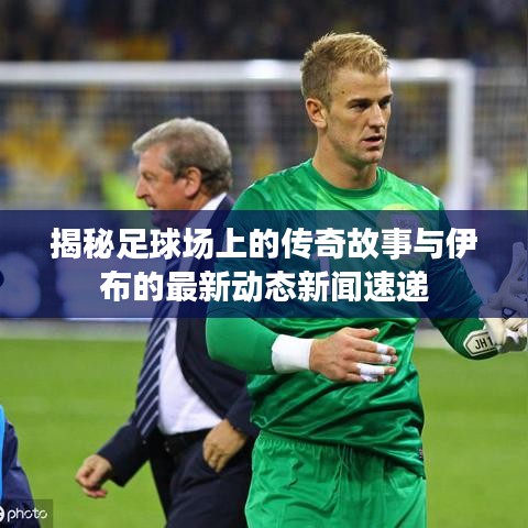 揭秘足球场上的传奇故事与伊布的最新动态新闻速递