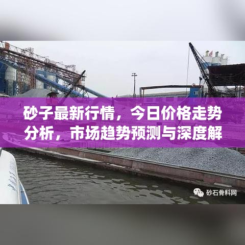 砂子最新行情，今日价格走势分析，市场趋势预测与深度解读