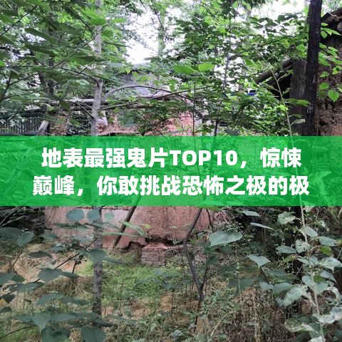 地表最强鬼片TOP10，惊悚巅峰，你敢挑战恐怖之极的极限吗？