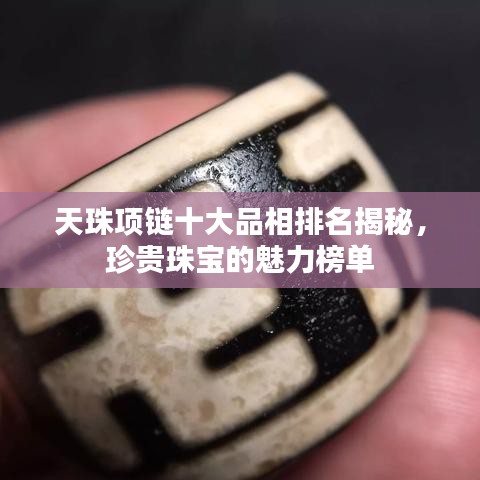 天珠项链十大品相排名揭秘，珍贵珠宝的魅力榜单