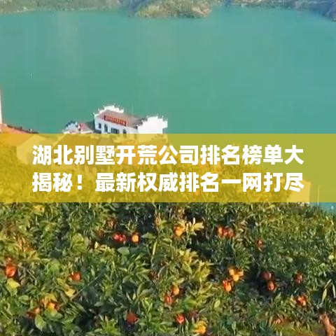 湖北别墅开荒公司排名榜单大揭秘！最新权威排名一网打尽！