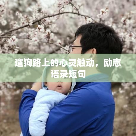 遛狗路上的心灵触动，励志语录短句