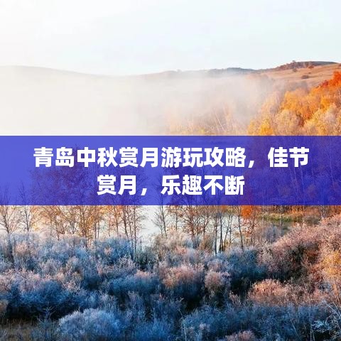 青岛中秋赏月游玩攻略，佳节赏月，乐趣不断