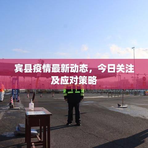 宾县疫情最新动态，今日关注及应对策略